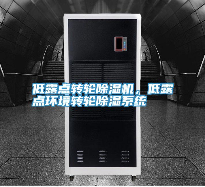 低露点转轮免费看操逼软件，低露点环境转轮除湿系统