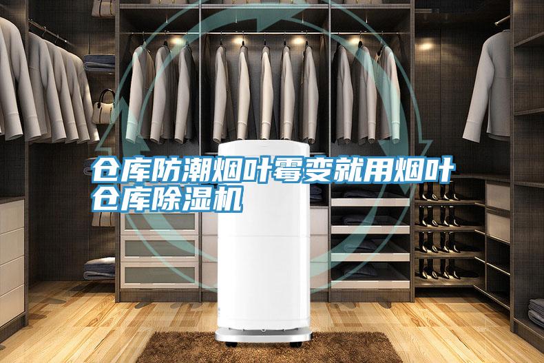 仓库防潮烟叶霉变就用烟叶仓库免费看操逼软件