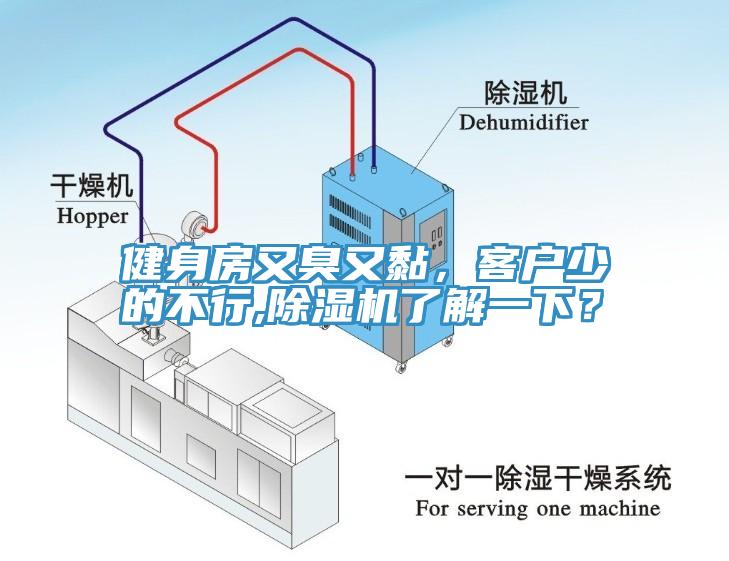 健身房又臭又黏，客户少的不行,免费看操逼软件了解一下？