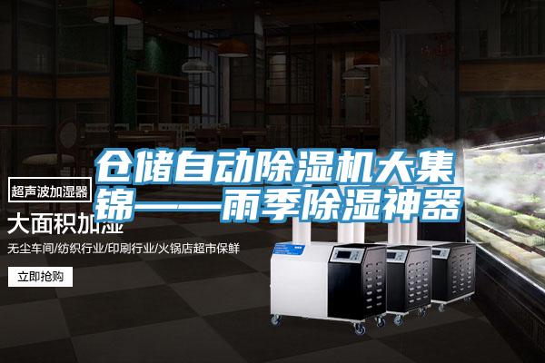 仓储自动免费看操逼软件大集锦——雨季除湿神器