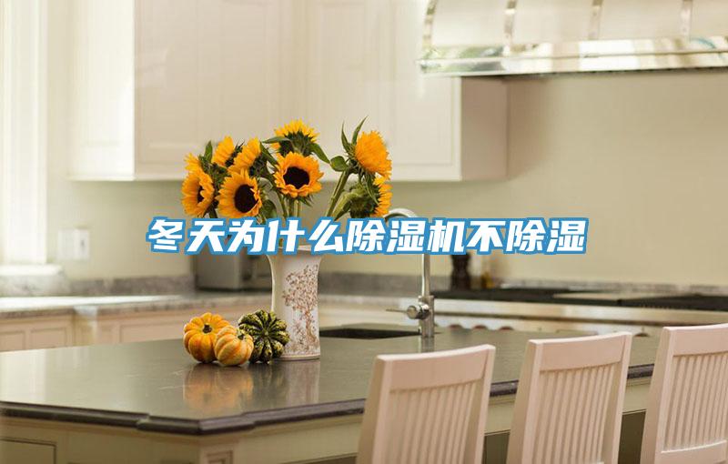 冬天为什么免费看操逼软件不除湿