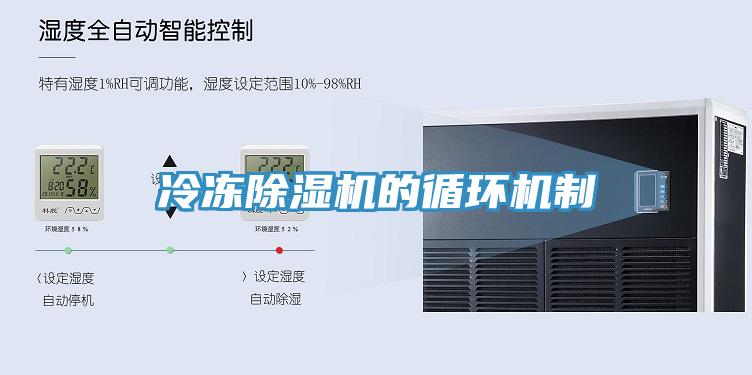 冷冻免费看操逼软件的循环机制