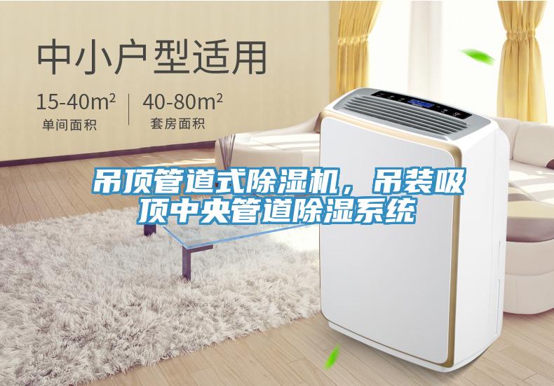 吊顶管道式免费看操逼软件，吊装吸顶中央管道除湿系统