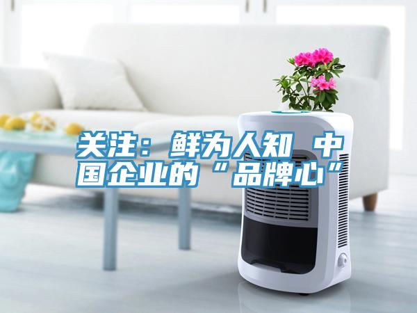 关注：鲜为人知 中国企业的“品牌心”