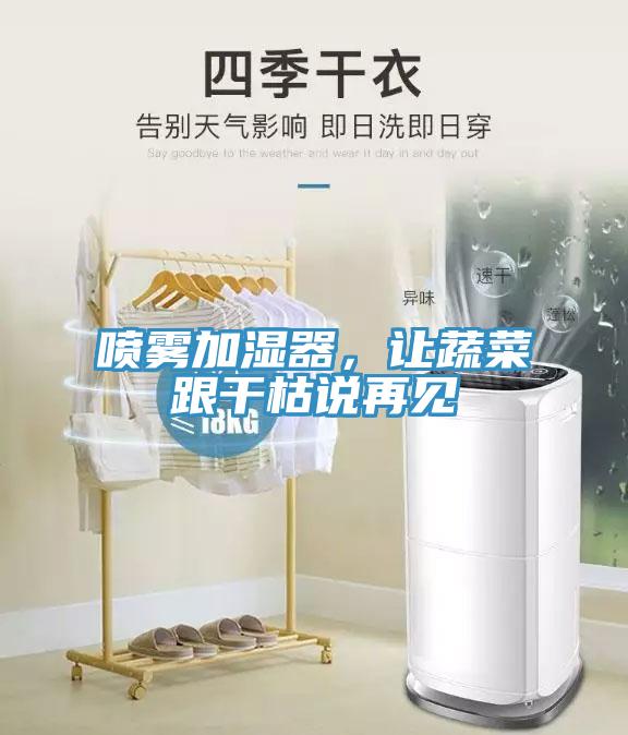 喷雾加湿器，让蔬菜跟干枯说再见