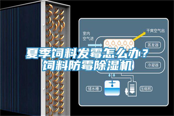 夏季饲料发霉怎么办？饲料防霉免费看操逼软件