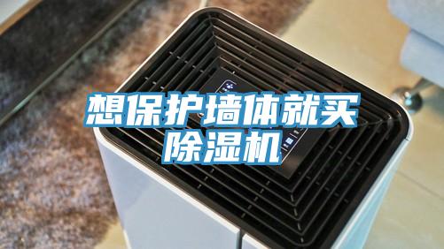 想保护墙体就买免费看操逼软件