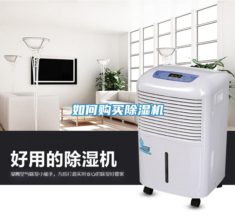 如何购买免费看操逼软件