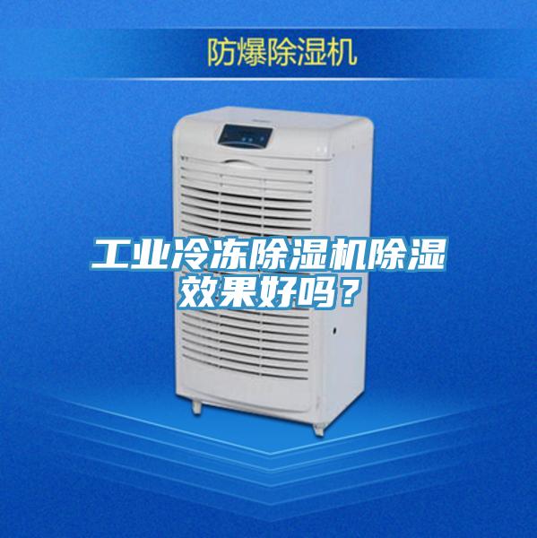 工业冷冻免费看操逼软件除湿效果好吗？