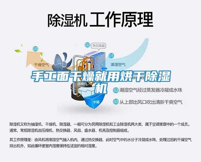 手工面干燥就用烘干免费看操逼软件