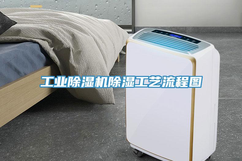 工业免费看操逼软件除湿工艺流程图