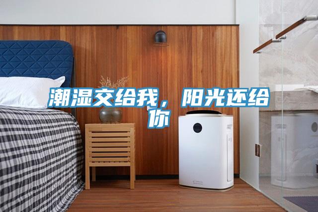 潮湿交给我，阳光还给你