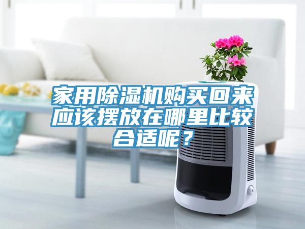 家用免费看操逼软件购买回来应该摆放在哪里比较合适呢？