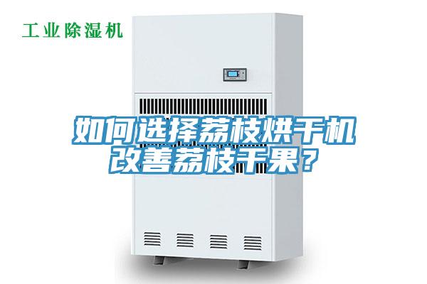 如何选择荔枝烘干机改善荔枝干果？
