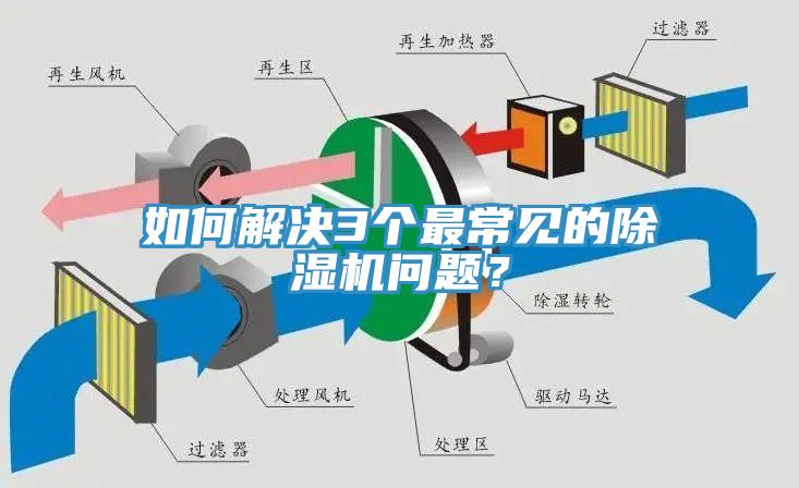 如何解决3个最常见的免费看操逼软件问题？
