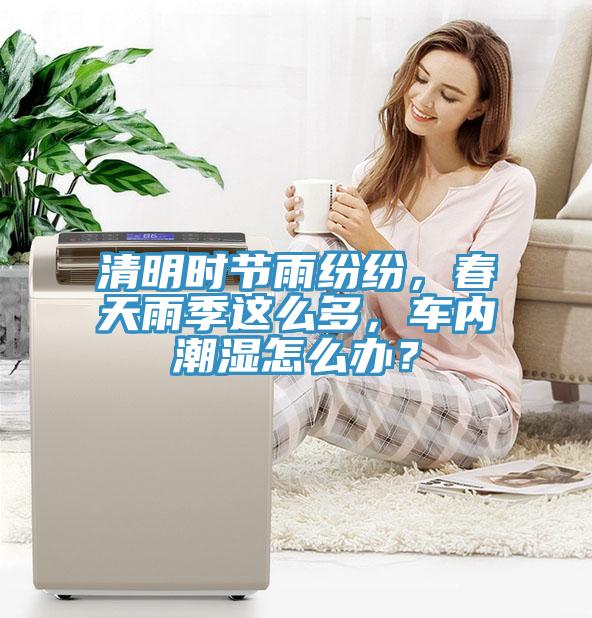 清明时节雨纷纷，春天雨季这么多，车内潮湿怎么办？