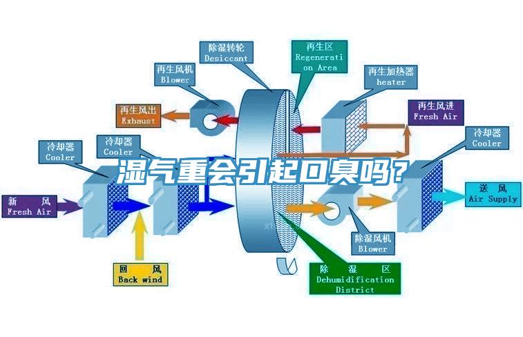 湿气重会引起口臭吗？