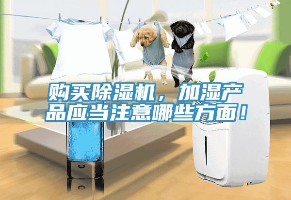 购买免费看操逼软件，加湿产品应当注意哪些方面！