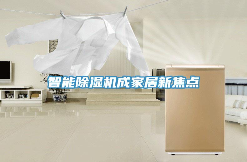 智能免费看操逼软件成家居新焦点