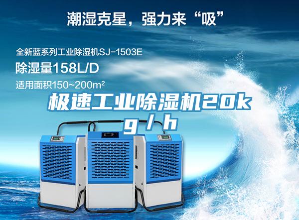极速工业免费看操逼软件20kg／h