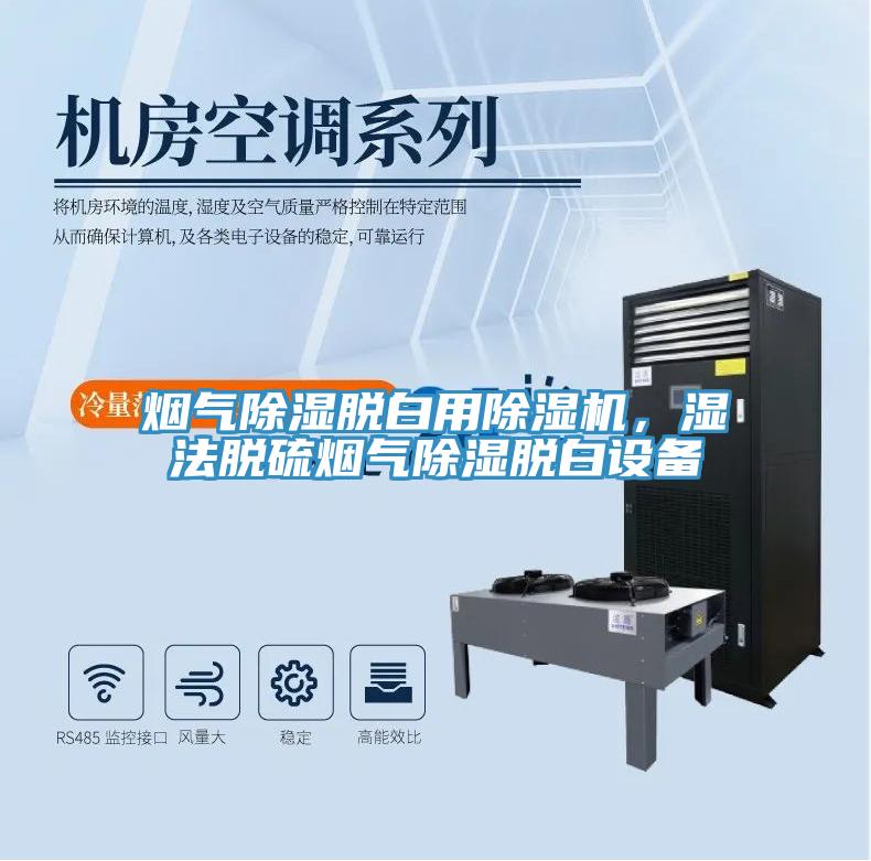 烟气除湿脱白用免费看操逼软件，湿法脱硫烟气除湿脱白设备