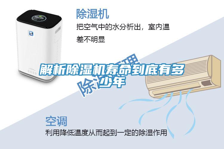 解析免费看操逼软件寿命到底有多少年