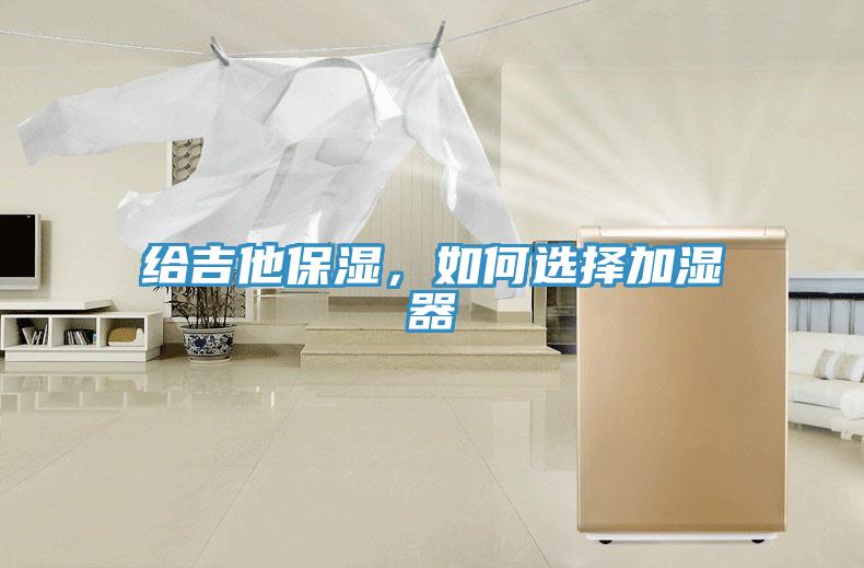 给吉他保湿，如何选择加湿器
