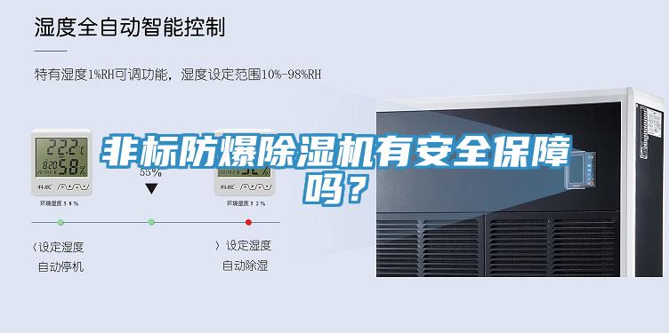 非标防爆免费看操逼软件有安全保障吗？