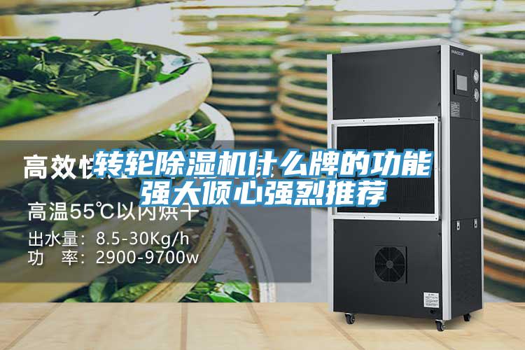 转轮免费看操逼软件什么牌的功能强大倾心强烈推荐