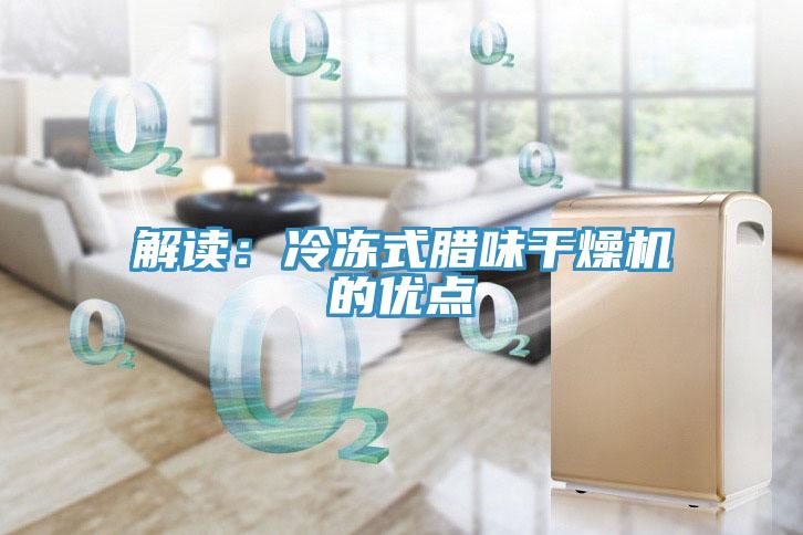 解读：冷冻式腊味干燥机的优点