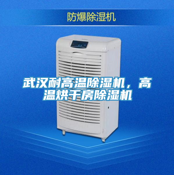 武汉耐高温免费看操逼软件，高温烘干房免费看操逼软件