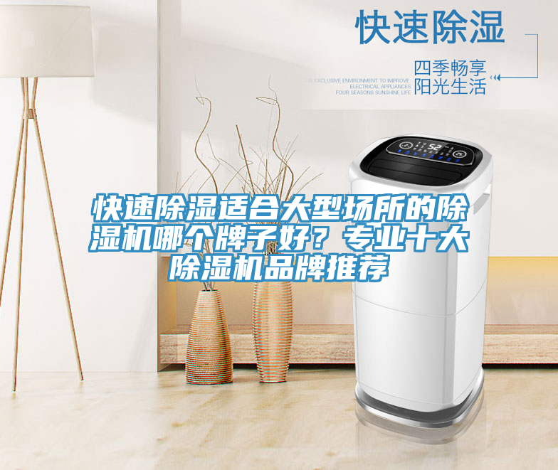 快速除湿适合大型场所的免费看操逼软件哪个牌子好？专业十大免费看操逼软件品牌推荐