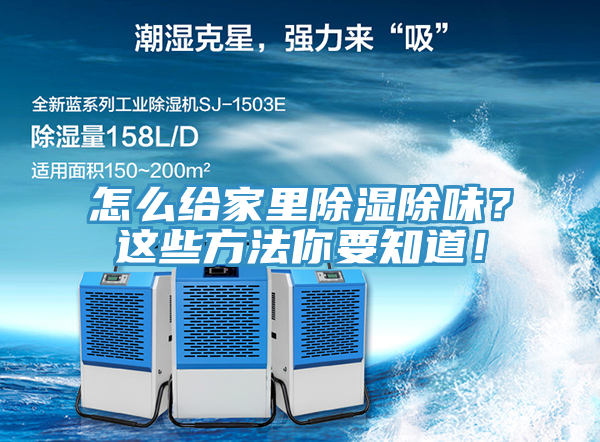 怎么给家里除湿除味？这些方法你要知道！