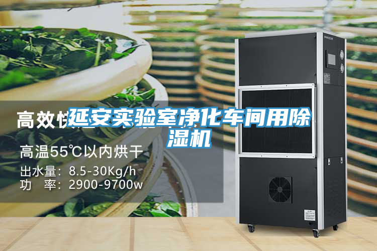 延安实验室净化车间用免费看操逼软件