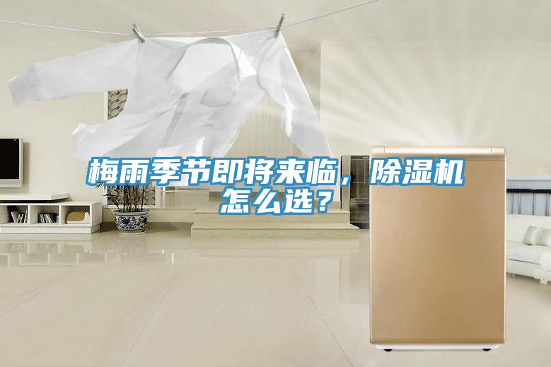 梅雨季节即将来临，免费看操逼软件怎么选？