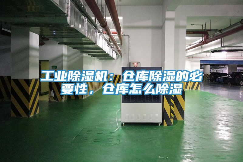 工业免费看操逼软件：仓库除湿的必要性，仓库怎么除湿