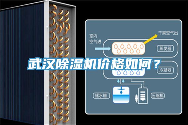 武汉免费看操逼软件价格如何？