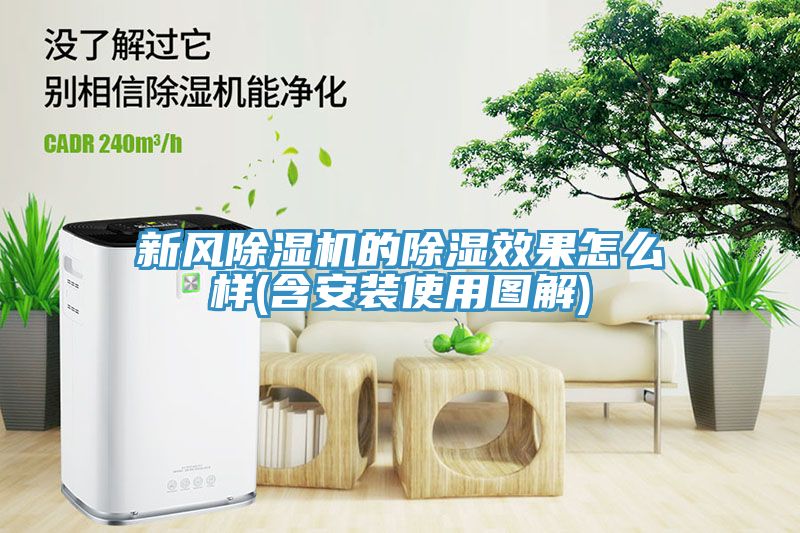 新风免费看操逼软件的除湿效果怎么样(含安装使用图解)