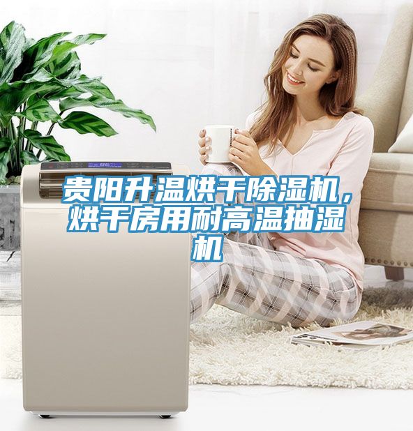 贵阳升温烘干免费看操逼软件，烘干房用耐高温抽湿机