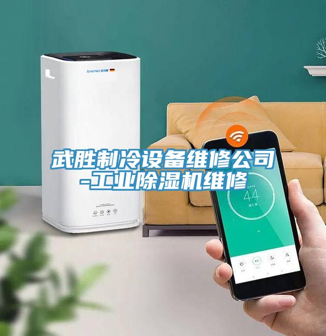 武胜制冷设备维修公司-工业免费看操逼软件维修