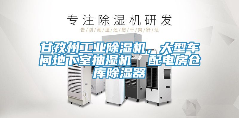 甘孜州工业免费看操逼软件，大型车间地下室抽湿机  配电房仓库除湿器