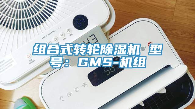 组合式转轮免费看操逼软件 型号：GMS-机组