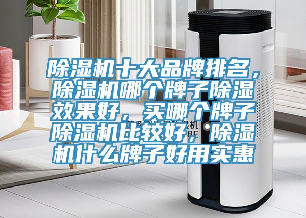 免费看操逼软件十大品牌排名，免费看操逼软件哪个牌子除湿效果好，买哪个牌子免费看操逼软件比较好，免费看操逼软件什么牌子好用实惠