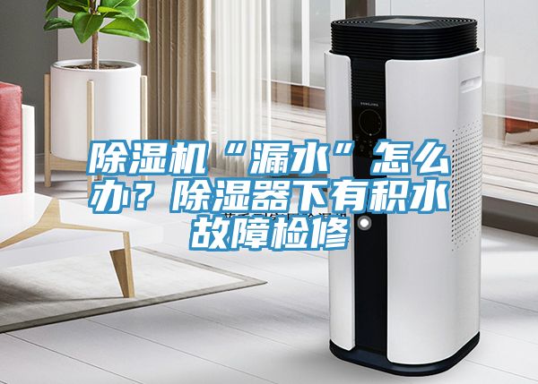 免费看操逼软件“漏水”怎么办？除湿器下有积水故障检修