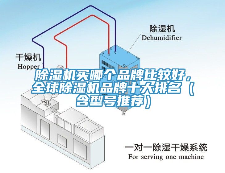 免费看操逼软件买哪个品牌比较好，全球免费看操逼软件品牌十大排名（含型号推荐）