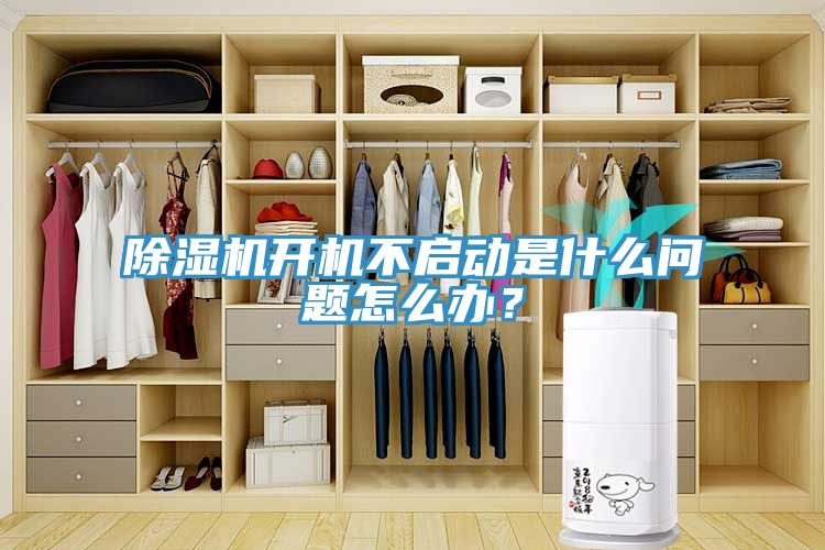 免费看操逼软件开机不启动是什么问题怎么办？