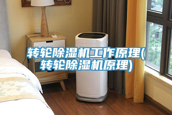 转轮免费看操逼软件工作原理(转轮免费看操逼软件原理)