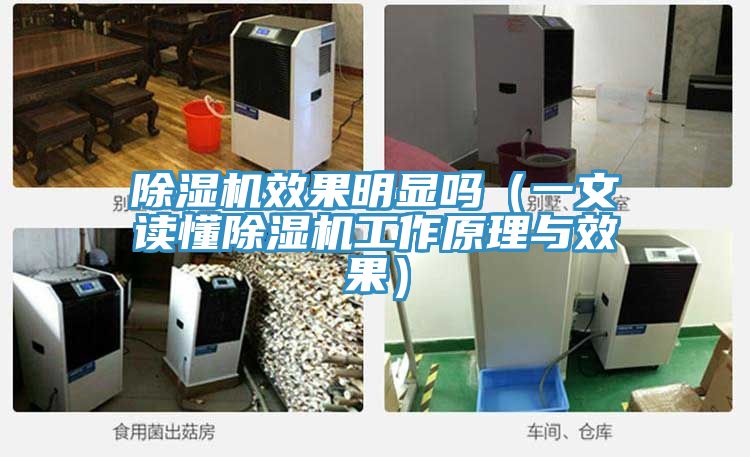 免费看操逼软件效果明显吗（一文读懂免费看操逼软件工作原理与效果）
