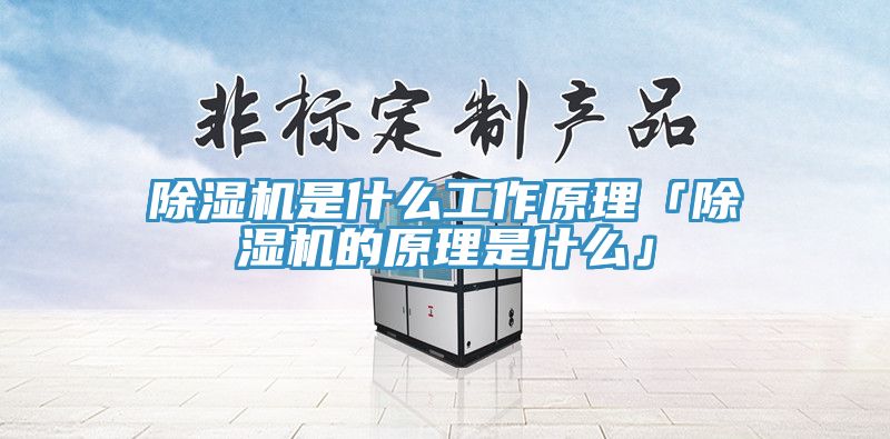 免费看操逼软件是什么工作原理「免费看操逼软件的原理是什么」