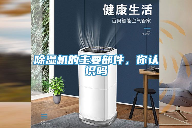 免费看操逼软件的主要部件，你认识吗